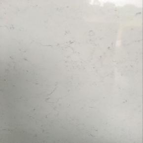 2025 New S6311 Tiny Carrara